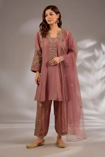 Anarkali in crush tissue base with dori hand embroidery.