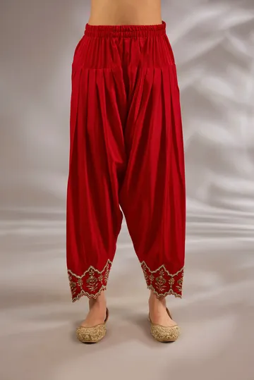 Anarkali in silk base with dori hand and machine embroidery. image 3