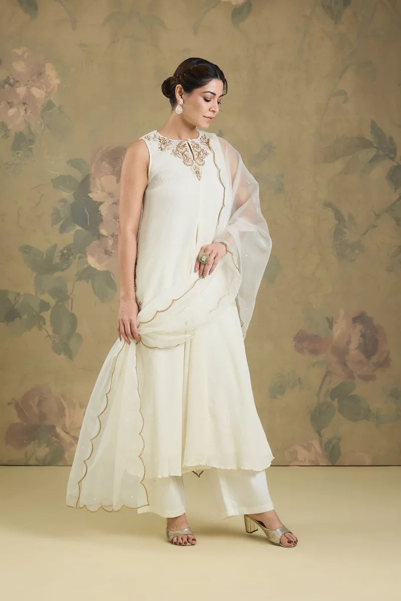 Flared Kurta Set In Chinon Cotton With Handwork